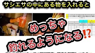 サシエサの中にある物を入れるとめっちゃ釣れるようになる⁉️If you put it in the bait, you'll be able to catch it!