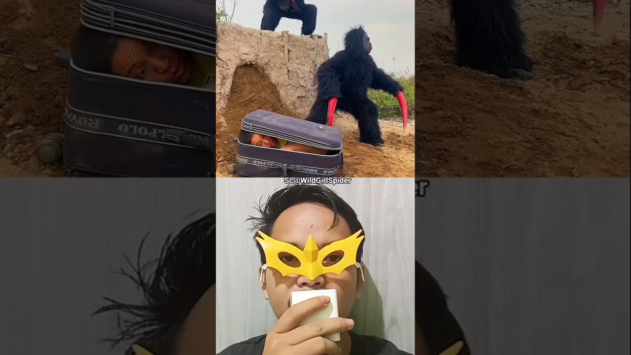 Let's Run There's a Gorilla ????⁉️ #funny #funnyshorts #shorts 
