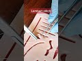 Lembert Stitch 