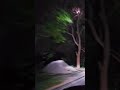Driving Underneath the Moon #viral #viralshort #moon #moonlight #driving #night #viralshort