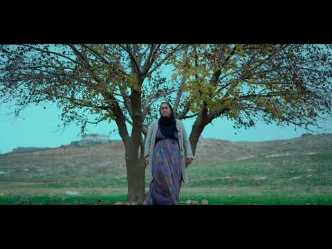 Ali İnsan - Yara Bere (feat. Portrenk)