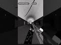 Phantom Forces - Muffler M1903 Showcase #roblox #pf #phantomforces