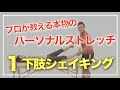 ①プロが教える本物のパーソナルストレッチ！トレーナーセラピスト必見！見なきゃ損！