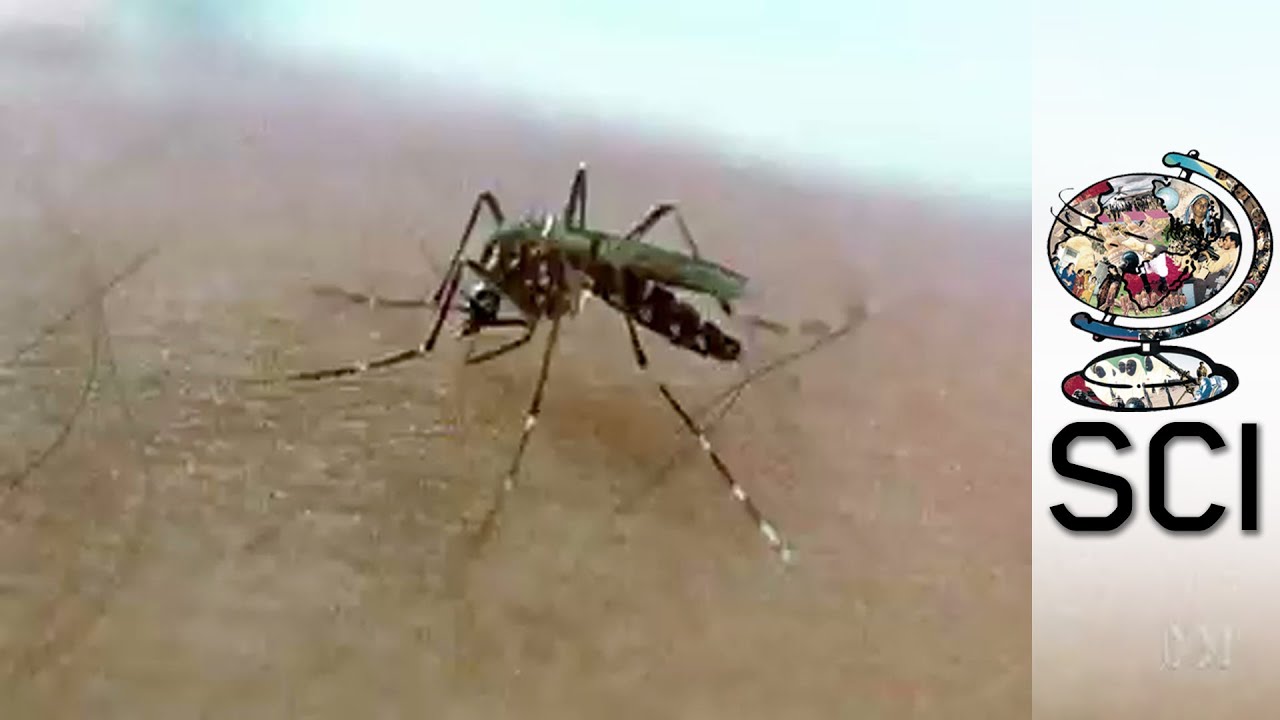 Stopping The Spread Of Deadly Dengue Fever (2014)