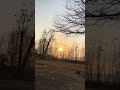 #guitar #cover #music view #trending