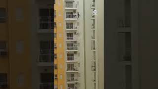 The 56 year old man exercised by hanging from his 12th floor balcony