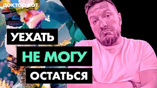 Уезжать или оставаться, возвращаться или терпеть - Моральные тяготы релокации - Доктор Кот