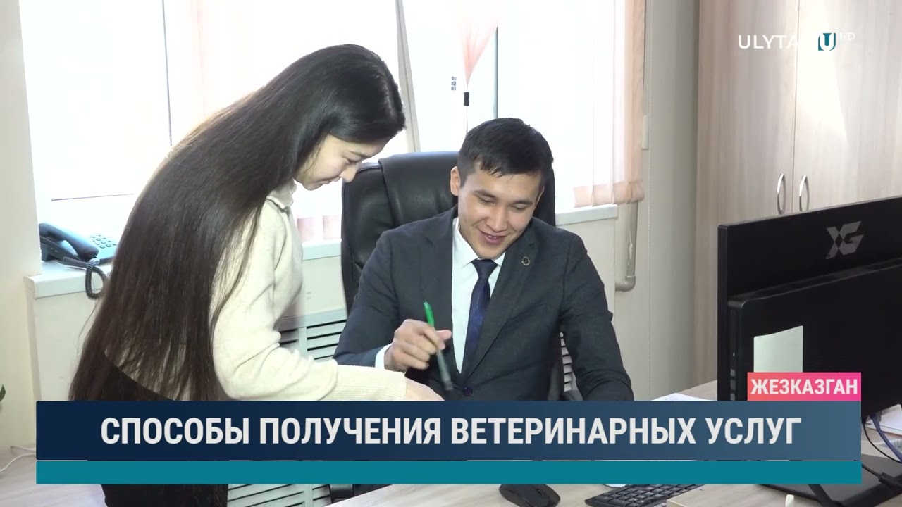 Способы получения ветеринарных услуг