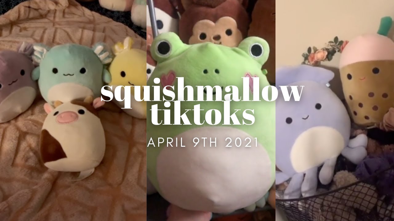 squishmallow tiktok compilation 