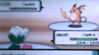 NR Gym Battle 8: Sunyshore's Beacon Badge