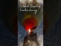 Celebrate Diwali from the Sky | A Festival of Perspective with SkyWaltz