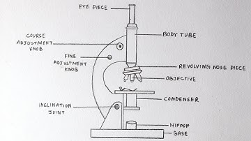 How to draw Compound of Microscope easily - step by step | How to draw Microscope diagram