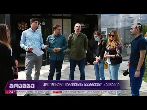 პოლიტიკური პარტიების საარჩევნო კამპანია