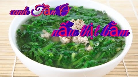 Hướng Dẫn Món Cảnh Tần ô Nấu Thịt Bằm/Món Ăn Gia Đình