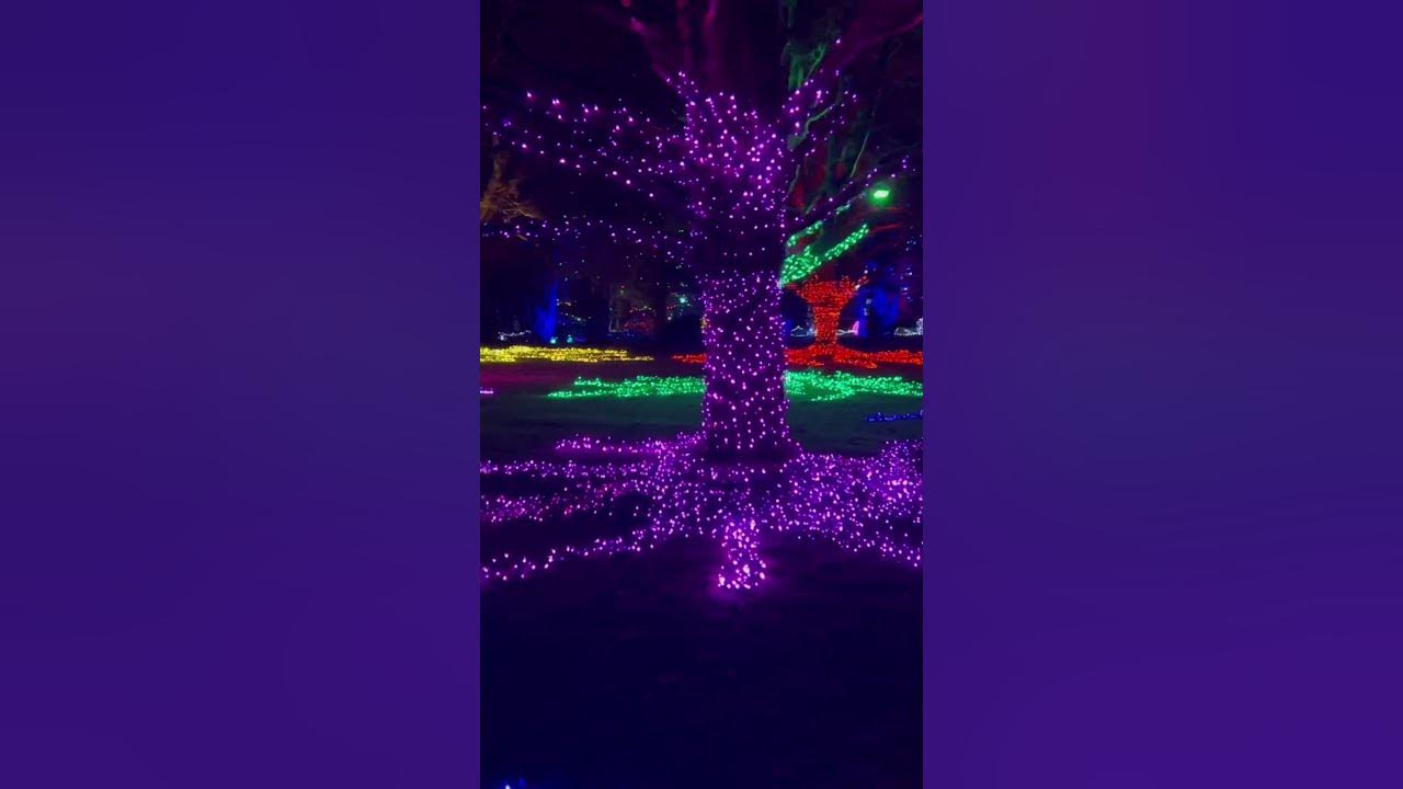 Vandusan Festival Of Lights 2024 indianyoutuber youtube viral 