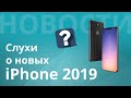 Какие слухи о новых iPhone 2019 окажутся реальностью?