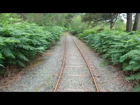 Peatlands Park, Northern Ireland