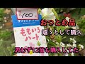 【おつとめ品　12苗購入】50円、100円で思わず大人買い