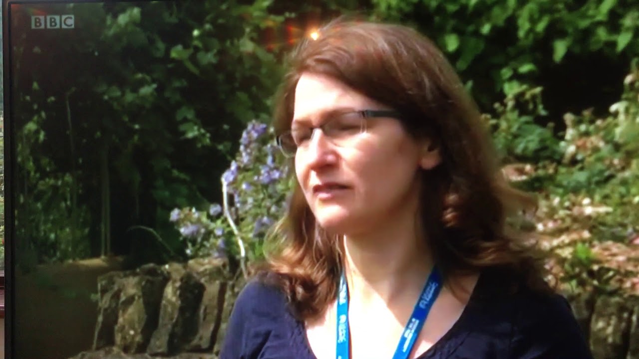 Midlands Today, Blooms for Bees, Judith Conroy, Garden Organic, July 2017 YouTube