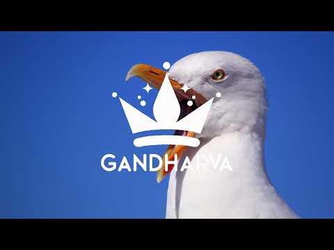 칠 딥 라운지 갓승렬 See봐 레쓰고 ㅣ 2025 최신리믹스 ㅣ DJ GANDHARVA 건달바