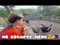 We Escaped to Teomatenzos Resort | Room Tour, Golf Cart Ride, Boodle Feast & Bonfire #drtbulacan