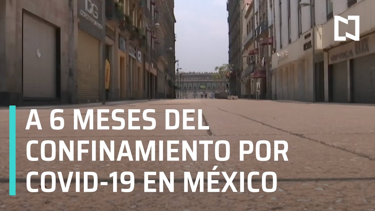 México Cumple 6 meses de la pandemia de Covid-19 - En Punto