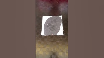 Simple Science Experiment | Tissue Paper Invisible Experiment | Tissue Paper Experiment #shorts #xyz