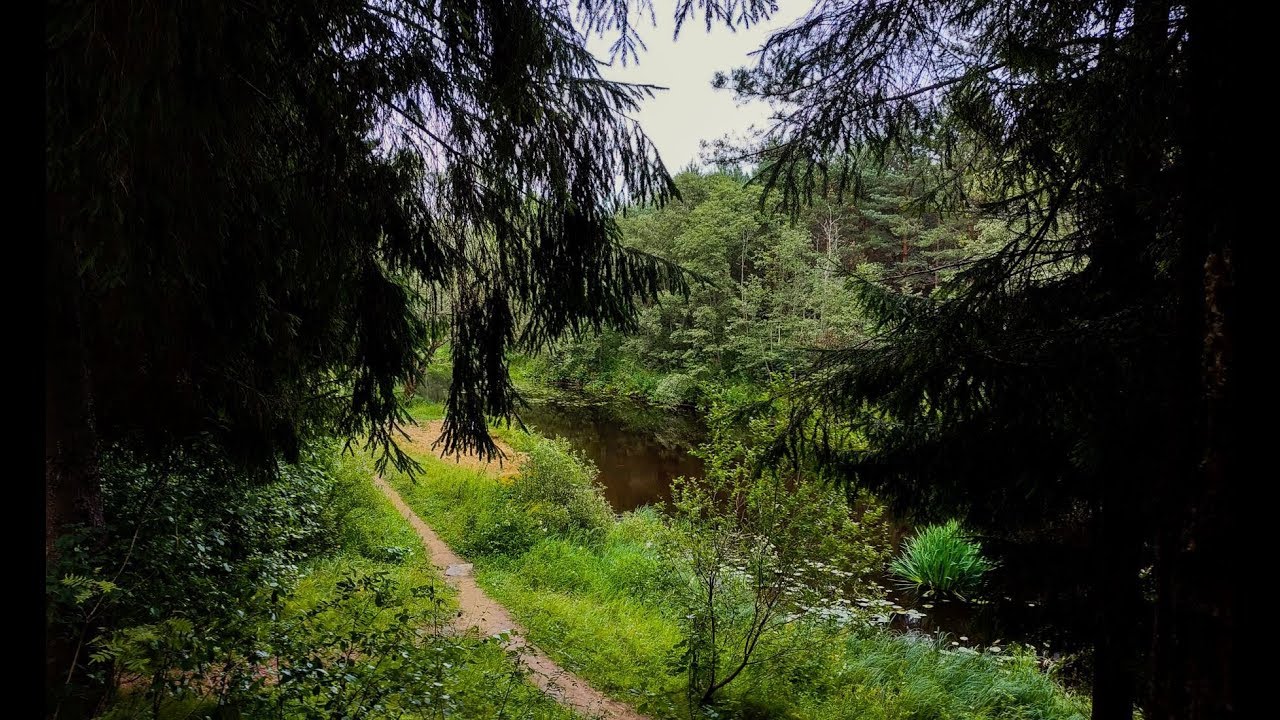 Все с начала. Как заработать миллион а не просто выжить.