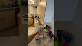 A day in the life living in student accommodation #university #ditl #accommodation