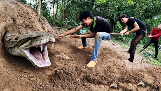 Brave Hunter Rescues Local People From A Giant Python Profile