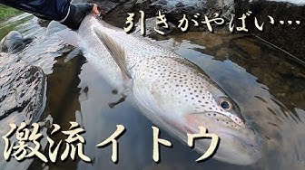 イトウ Youtube