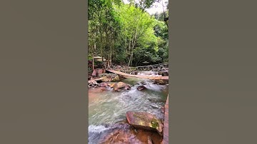 Đây là quán cà phê vườn địa đàng ở Đà Lạt nha các bạn