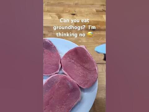 Food Day 310 - Can you eat Groundhogs? #carnivore #carnivorediet #