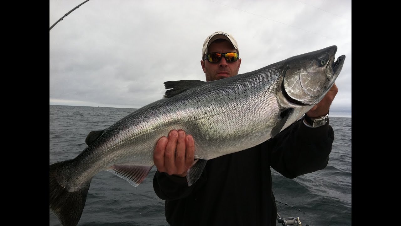 Waconia Boys Fishing Huge Lake Michigan King Salmon from Algoma, WI