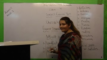 Metropolitan School Week 2 Class 4 English Lesson