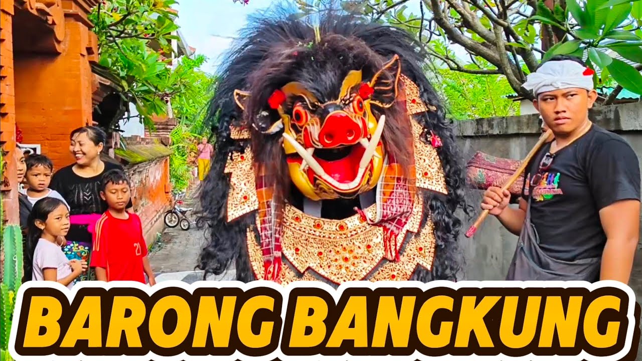 BARONG BANGKUNG NGELAWANG KE RUMAHKU GUYS🤩‼️
