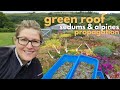 Propagation de sedums et de plantes alpines pour le toit vert  top 5 des plantes sur lesquelles prlever des boutures