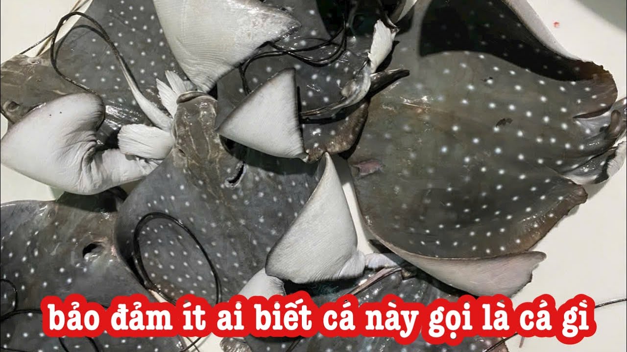 Chợ Chiều Bà Rịa,￼ Rất nhiều người bán ….. Hải sản ….!￼￼￼