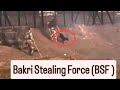 BSF ছাগর চোর গান 😂 #funnysong #bsf #funny
