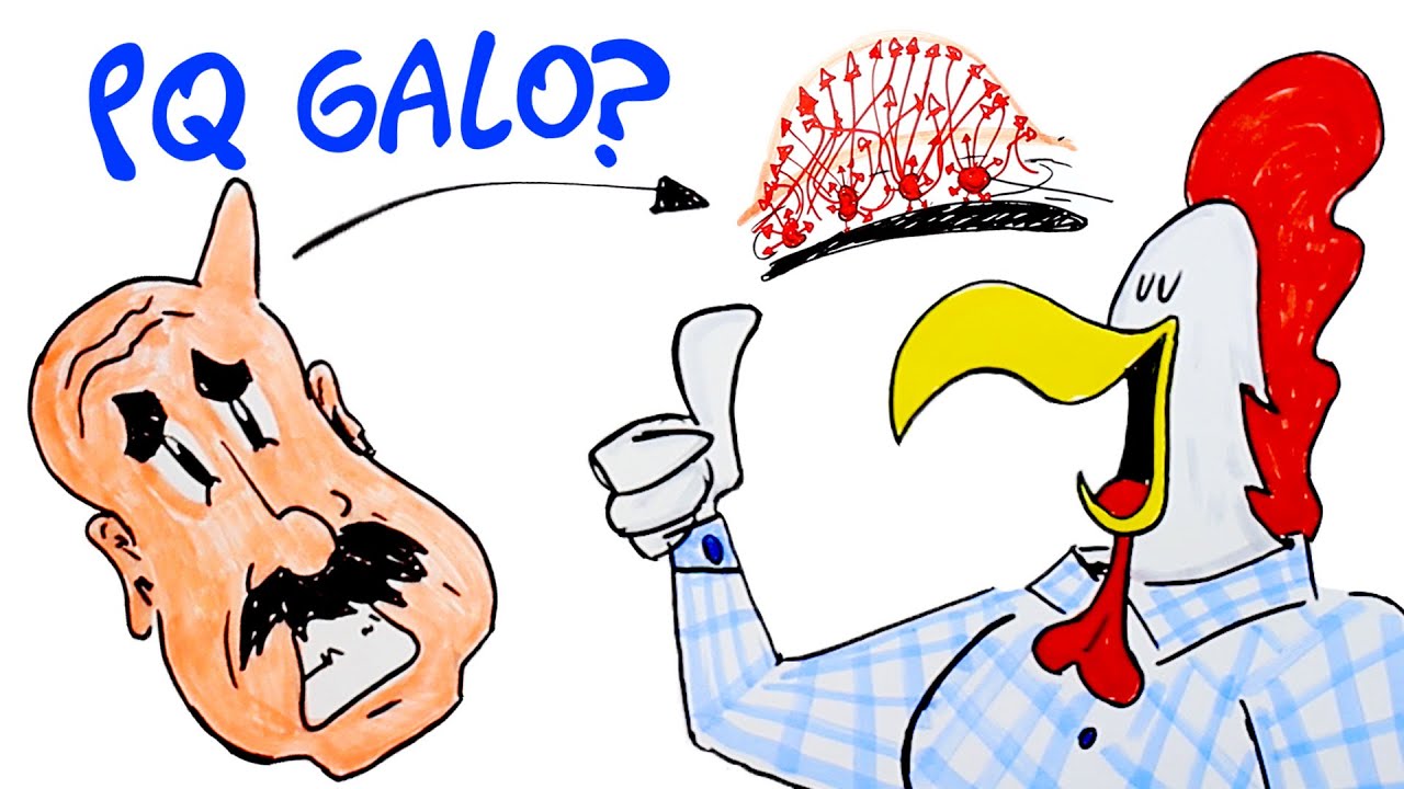 Por que quando batemos a cabeça ficamos com um galo? #DúvidaCruel 3 ...
