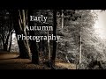 Thunderstorm in the Forest Moody Autumn Photography & Mushroom Hunting