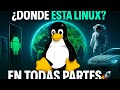 “Linux: la revolución silenciosa que conquista el mundo”