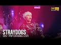 [4K] StrayDogs - FELIP (Ken Suson) PPop Con Manila 2023