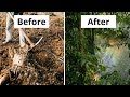 REVOLUTIONARY FARMS #2: From barren field to lush food forest | Rongo, Kenya