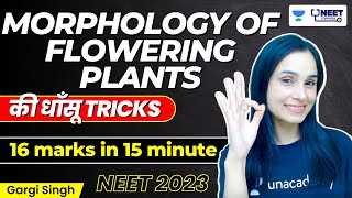 Morphology की धाँसू Tricks with Families | 16 marks पक्के 15 minute में | NEET 2023 | Dr. Gargi S