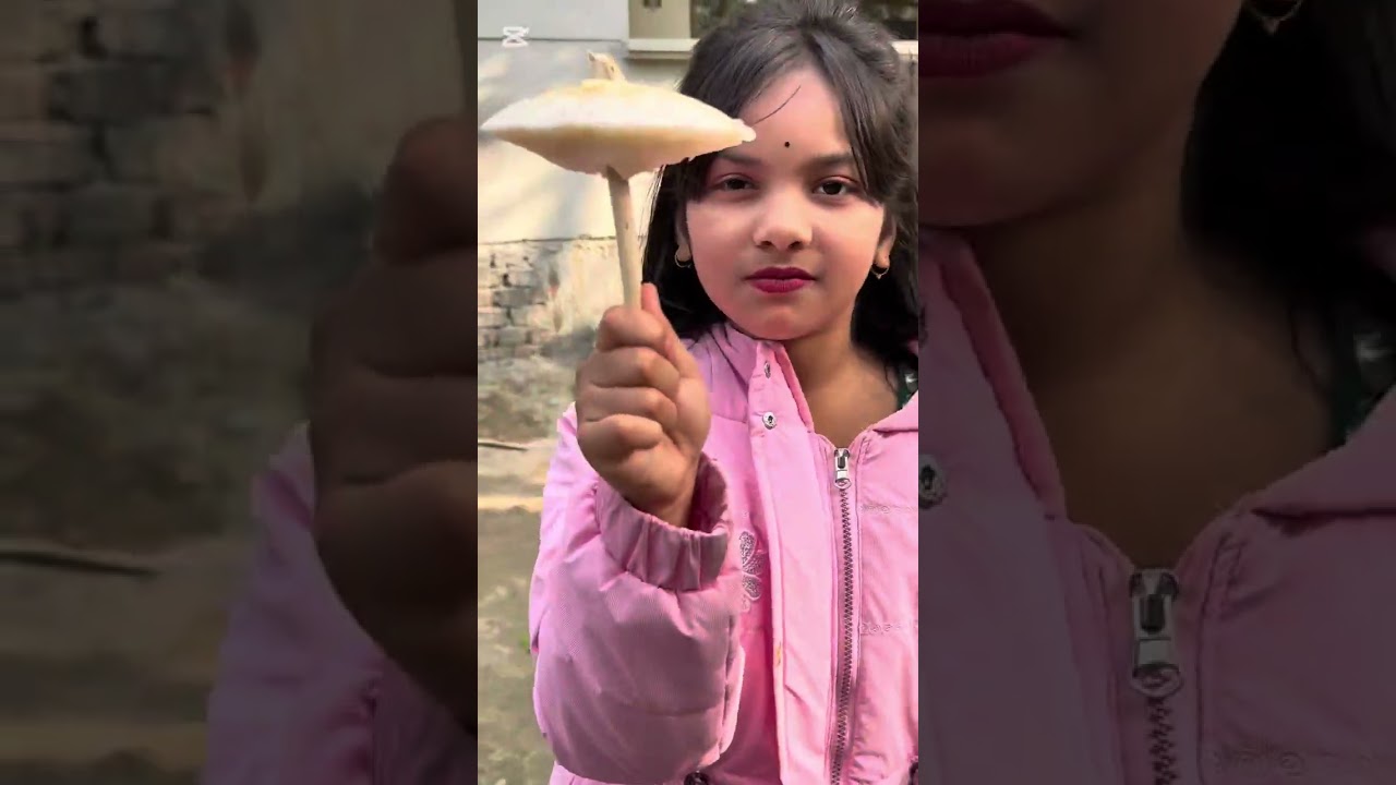 সবাই মিলে বেড়াতে গেলাম আমরা ।village life vlog 