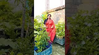 Anek radha Krishna eka.... #music #love #song