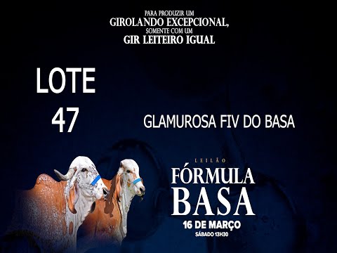 LOTE 47   BASA 2580