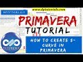 How to Create S Curve in Primavera P6 with less Data || Learn Oracle Primavera || dptutorials