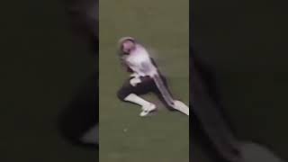 Celebrity Sterling Sharpe set virtually all receiving records for the Gamecocks! #SpursUp 🤙 Wealth